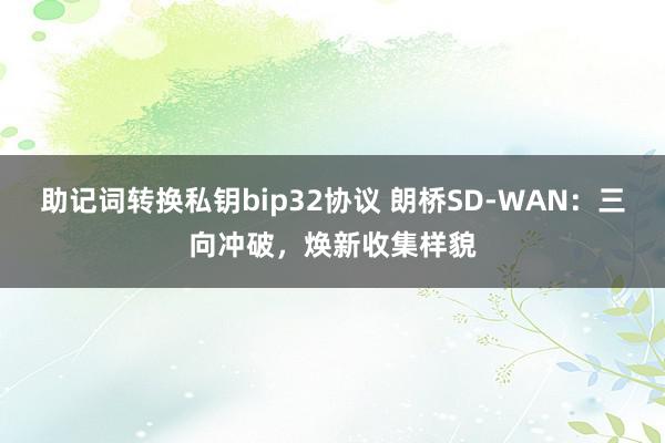 助记词转换私钥bip32协议 朗桥SD-WAN：三向冲破，焕新收集样貌