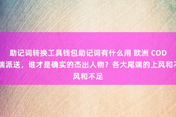 助记词转换工具钱包助记词有什么用 欧洲 COD 尾端派送，谁才是确实的杰出人物？各大尾端的上风和不足