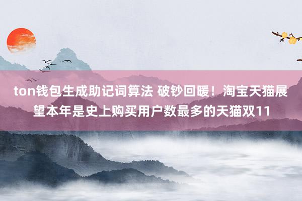 ton钱包生成助记词算法 破钞回暖！淘宝天猫展望本年是史上购买用户数最多的天猫双11