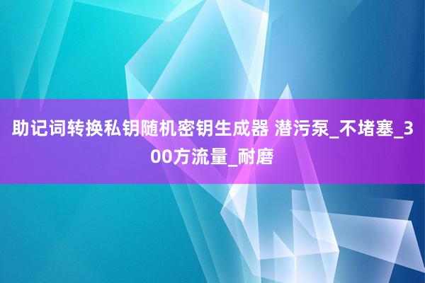 助记词转换私钥随机密钥生成器 潜污泵_不堵塞_300方流量_耐磨